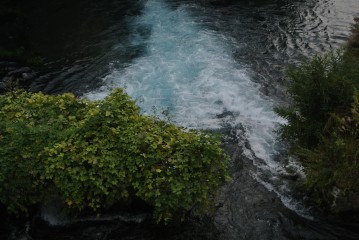 e0191481_23163947.jpg
