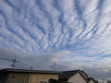 e0130185_19255043.jpg