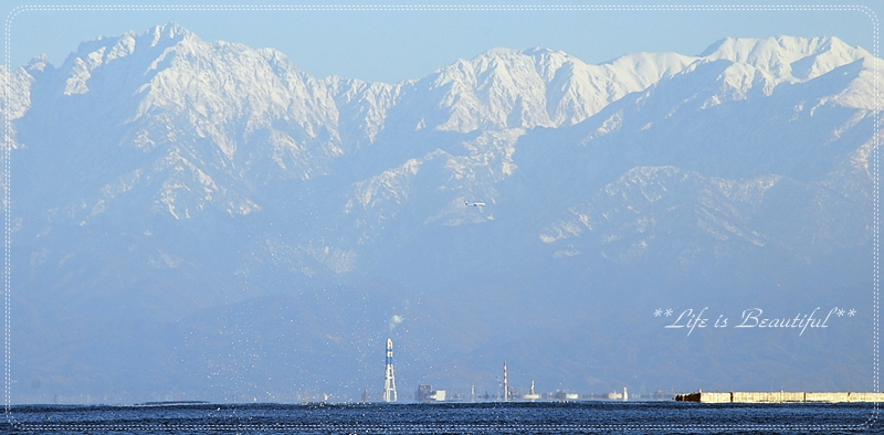 c0156789_19571120.jpg