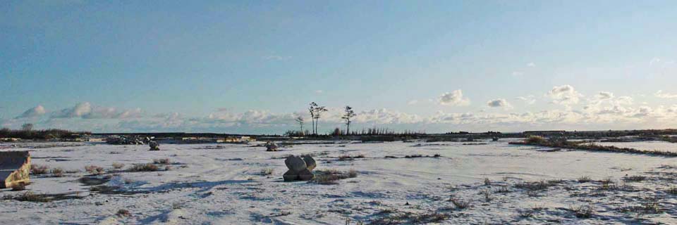 c0170789_16451716.jpg