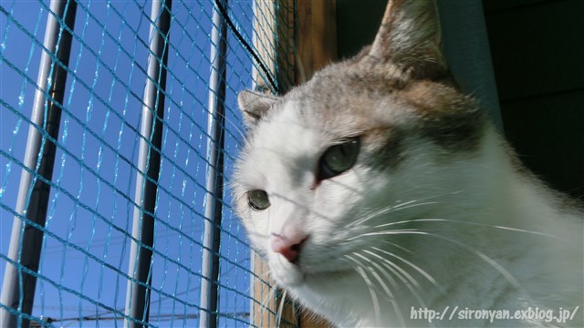 a0159490_14311096.jpg