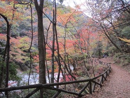 f0234590_11164726.jpg