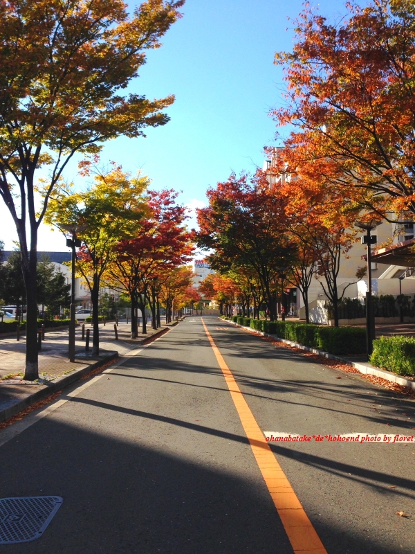 f0083400_17275542.jpg