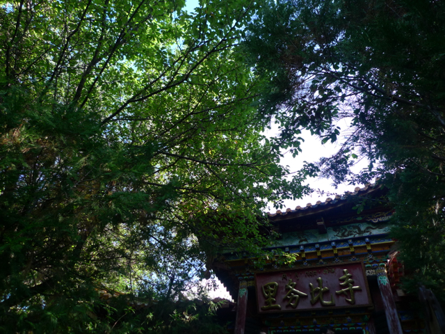 e0157816_7331477.jpg