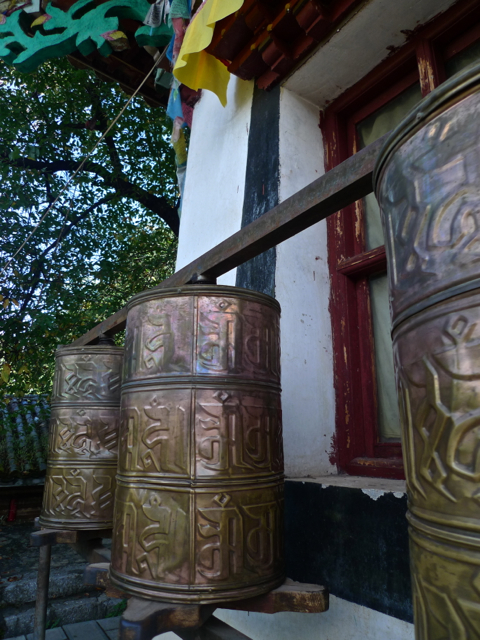 e0157816_736223.jpg