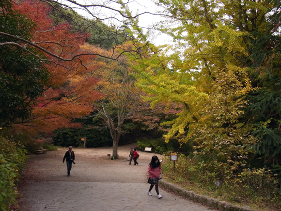 e0083517_216539.jpg