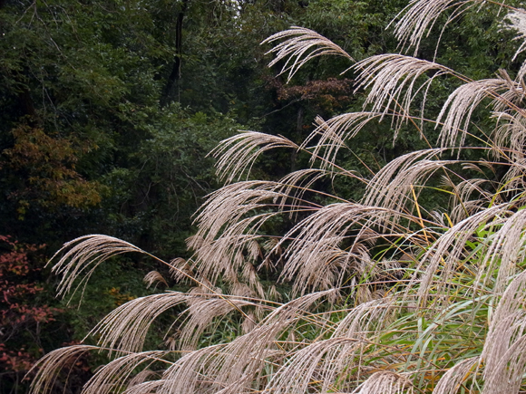 e0083517_2213992.jpg