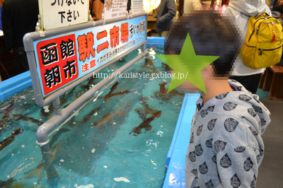 b0121019_1929442.png