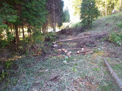 f0031420_21515622.jpg