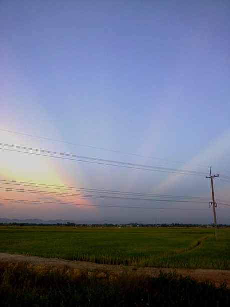 e0268325_0441699.jpg