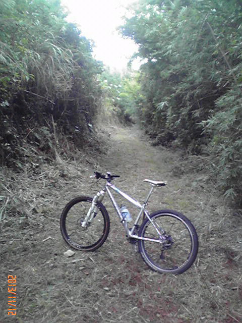 b0222530_8151775.jpg