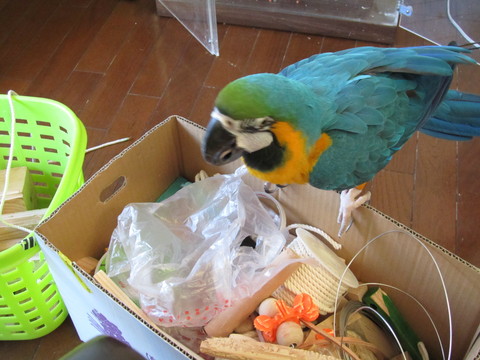 e0107730_21365061.jpg
