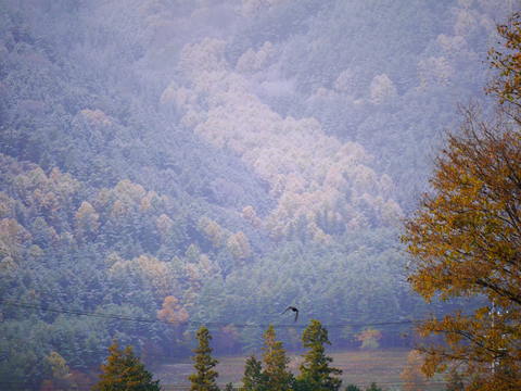 a0305533_9514947.jpg