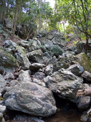 e0272335_15371558.jpg