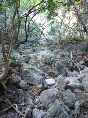 e0272335_15403750.jpg