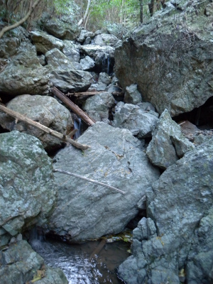 e0272335_15425963.jpg