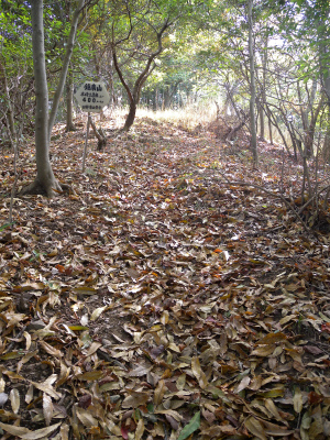 e0272335_1612471.jpg