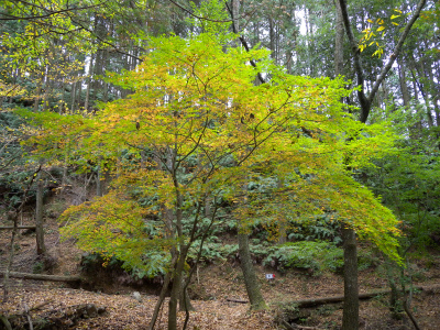 e0272335_16143459.jpg