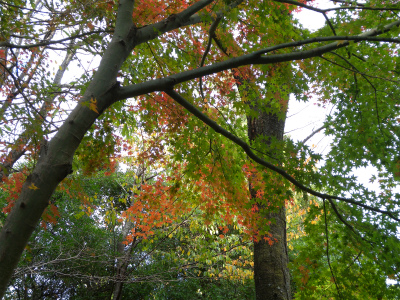 e0272335_16313729.jpg