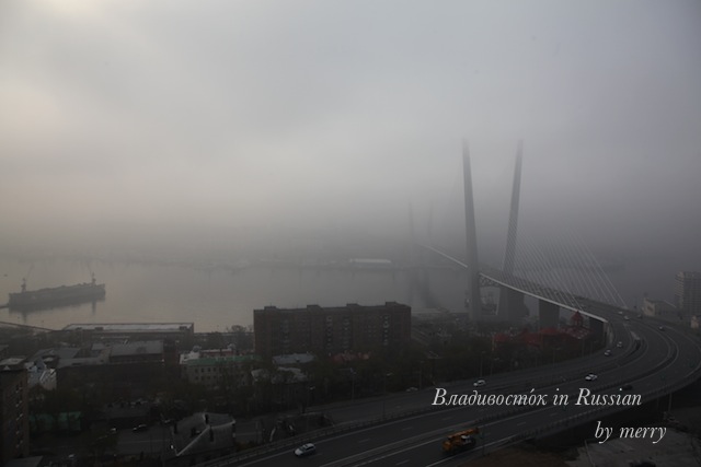 a0207736_037273.jpg
