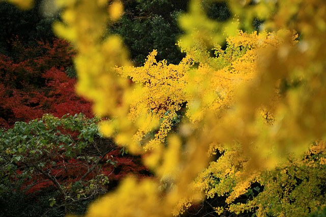 a0242438_18535559.jpg