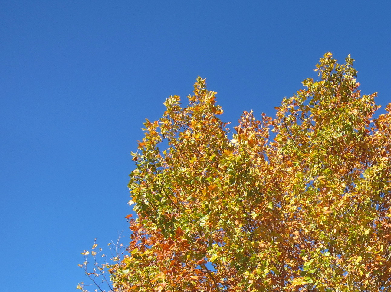 b0178339_16503955.jpg
