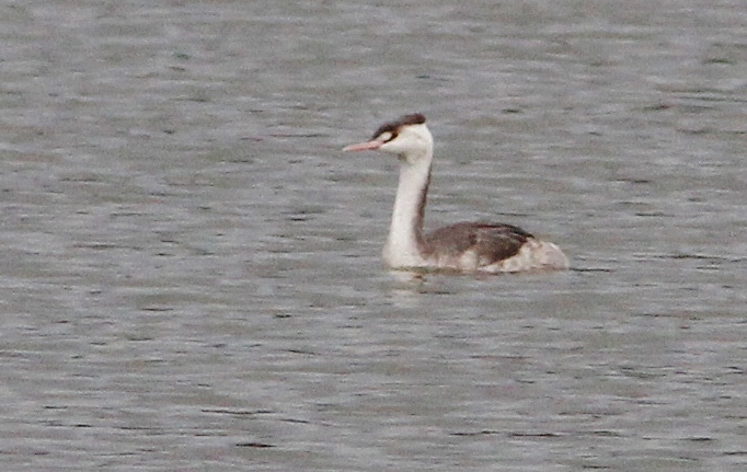 c0172139_7595556.jpg