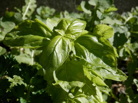 e0288951_1442592.jpg