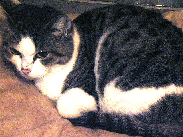 f0257756_3293790.jpg