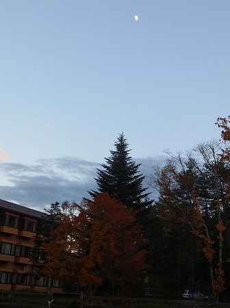 c0097558_185932.jpg