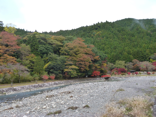 d0231858_17234789.jpg
