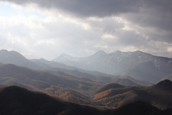 b0138661_15342430.jpg
