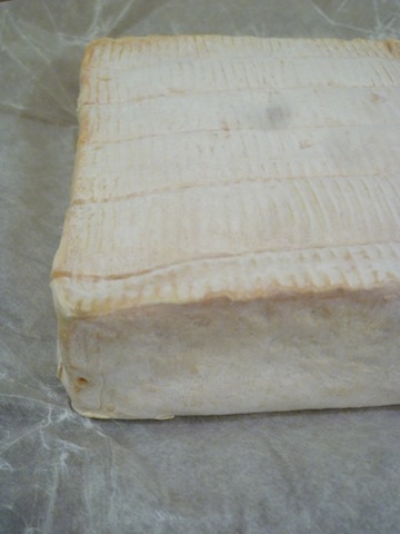 f0241468_025034.jpg