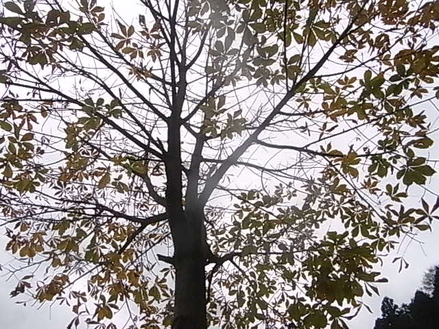 a0146070_6383049.jpg