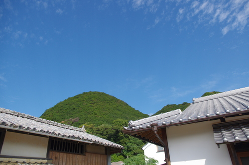 f0054677_8462192.jpg