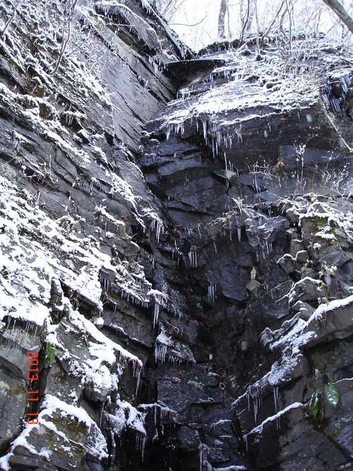 d0165378_9304183.jpg