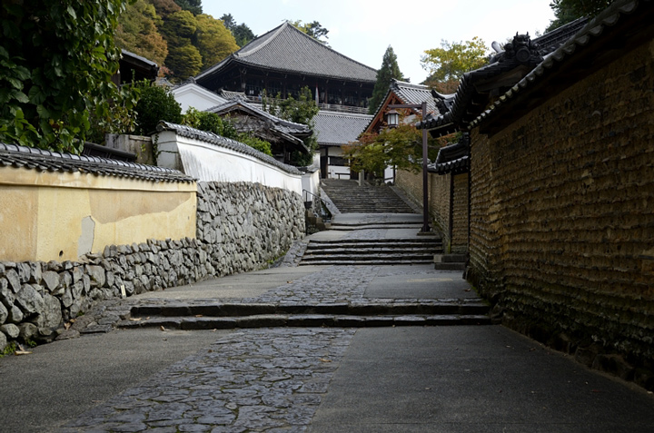 f0108478_21461610.jpg
