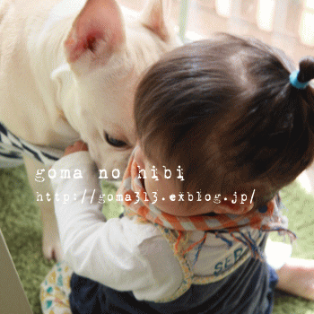 b0180085_20414020.gif