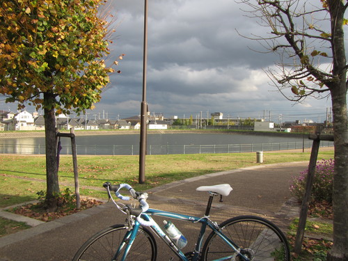 a0251786_061422.jpg