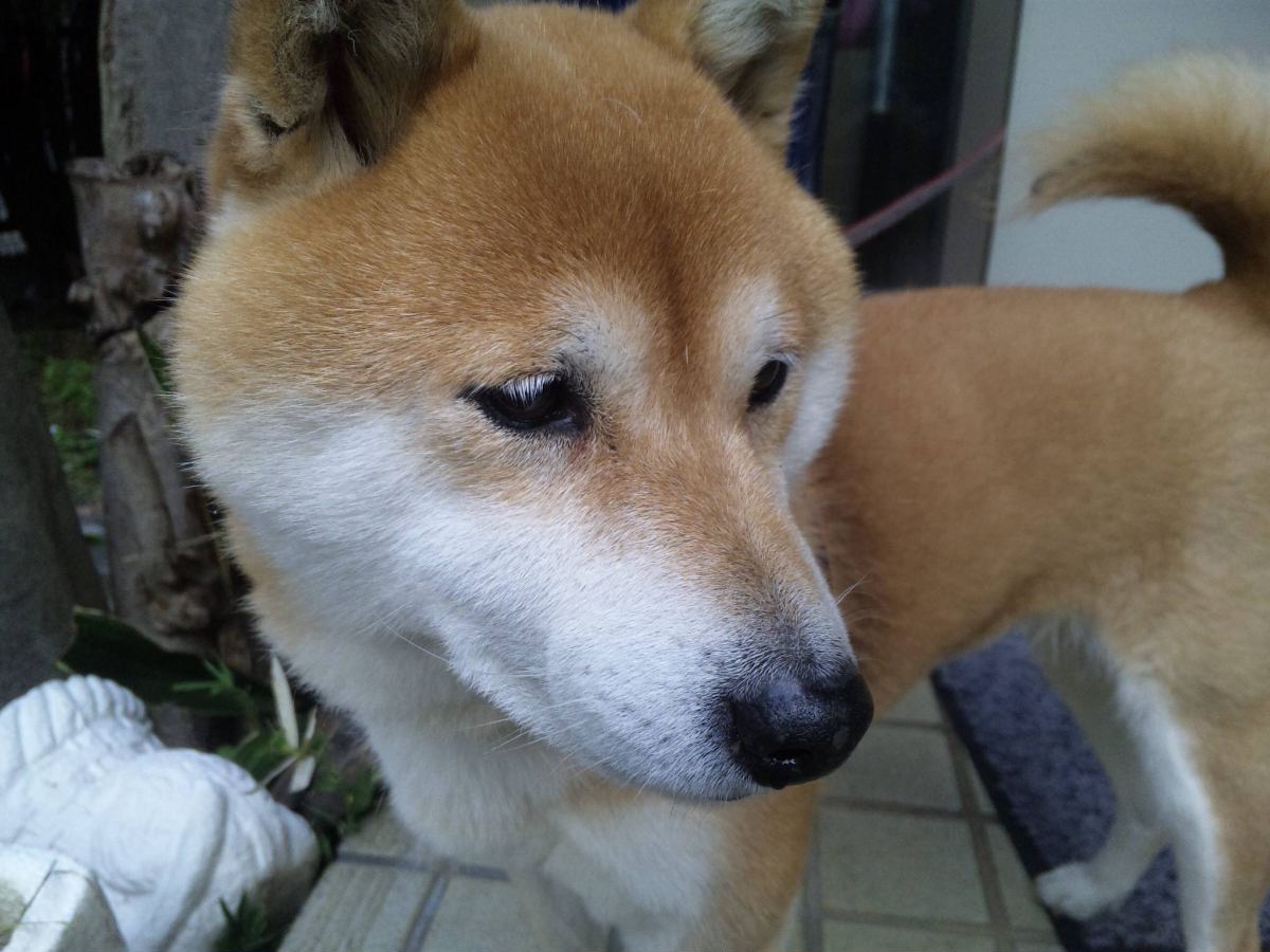 c0123890_2093160.jpg