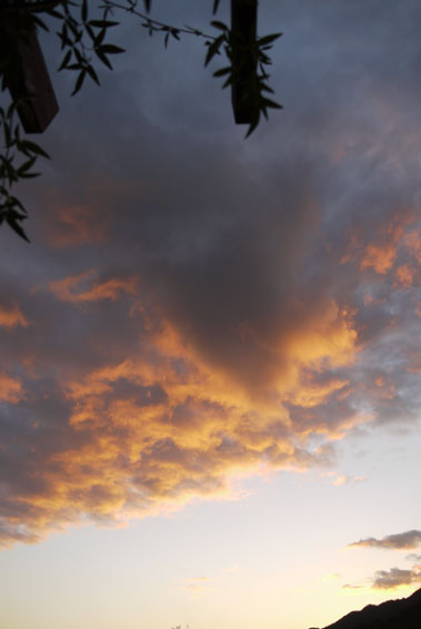 f0222692_19142819.jpg