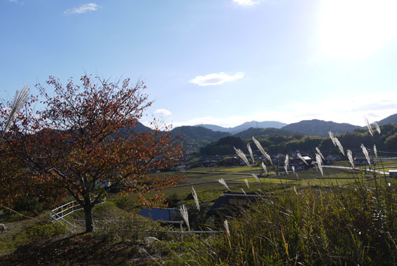f0222692_1972214.jpg
