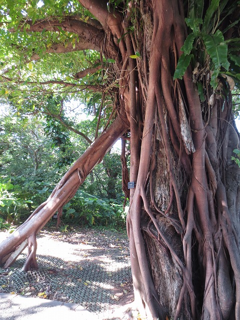 c0087094_1445194.jpg