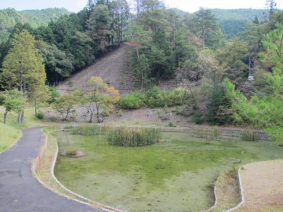 c0118495_23254175.jpg
