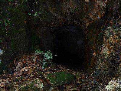 c0118495_23395826.jpg