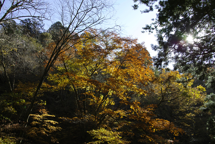 b0286898_1951216.jpg
