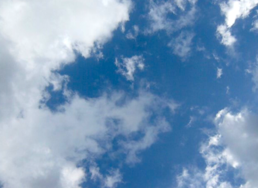 c0124998_8221916.png