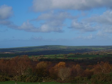 b0110999_3544791.jpg