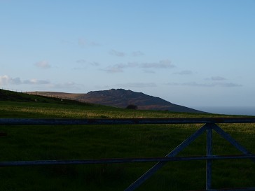 b0110999_3553876.jpg