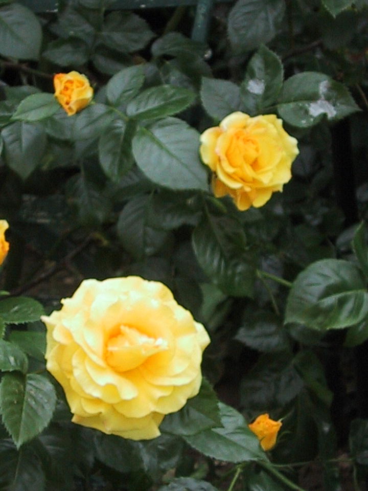 d0166303_0235319.jpg